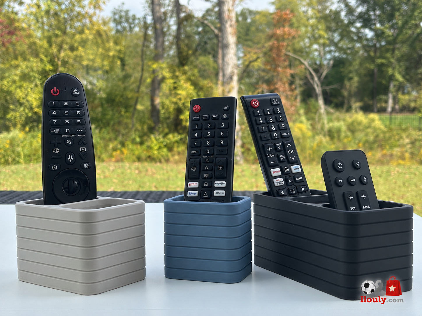 TV Remote Holder